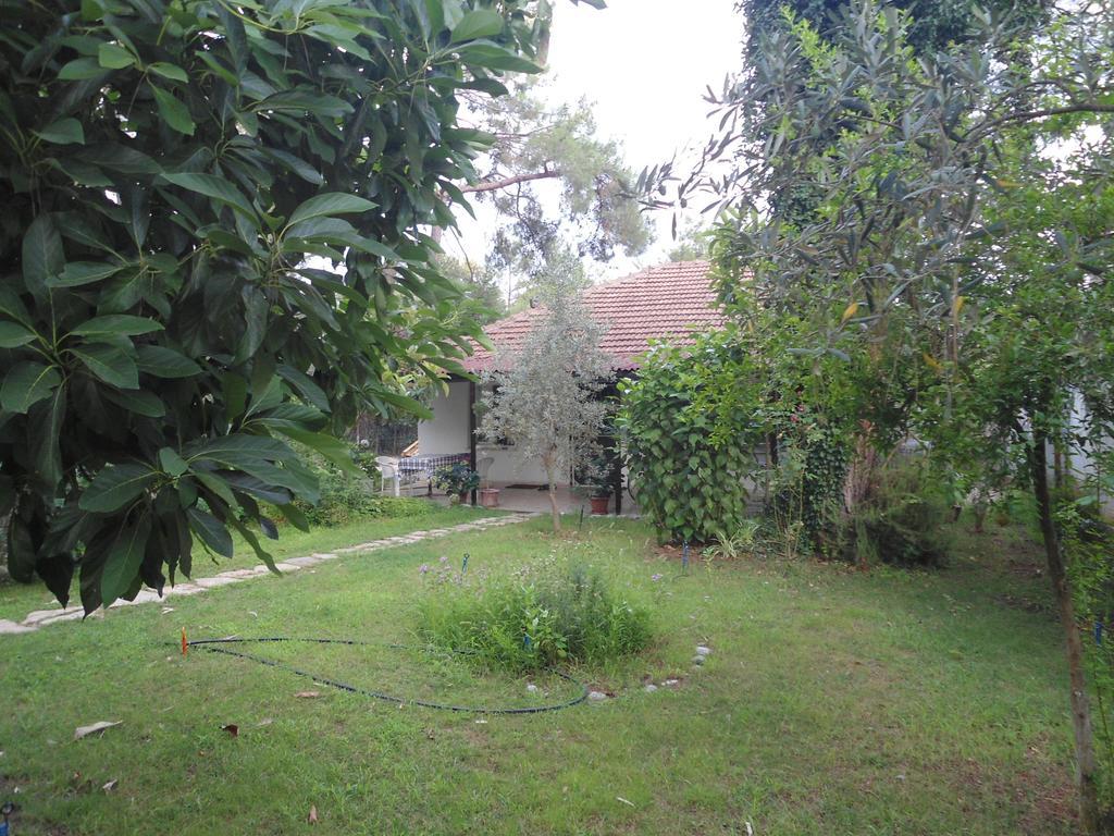 Camping Halil Çıralı