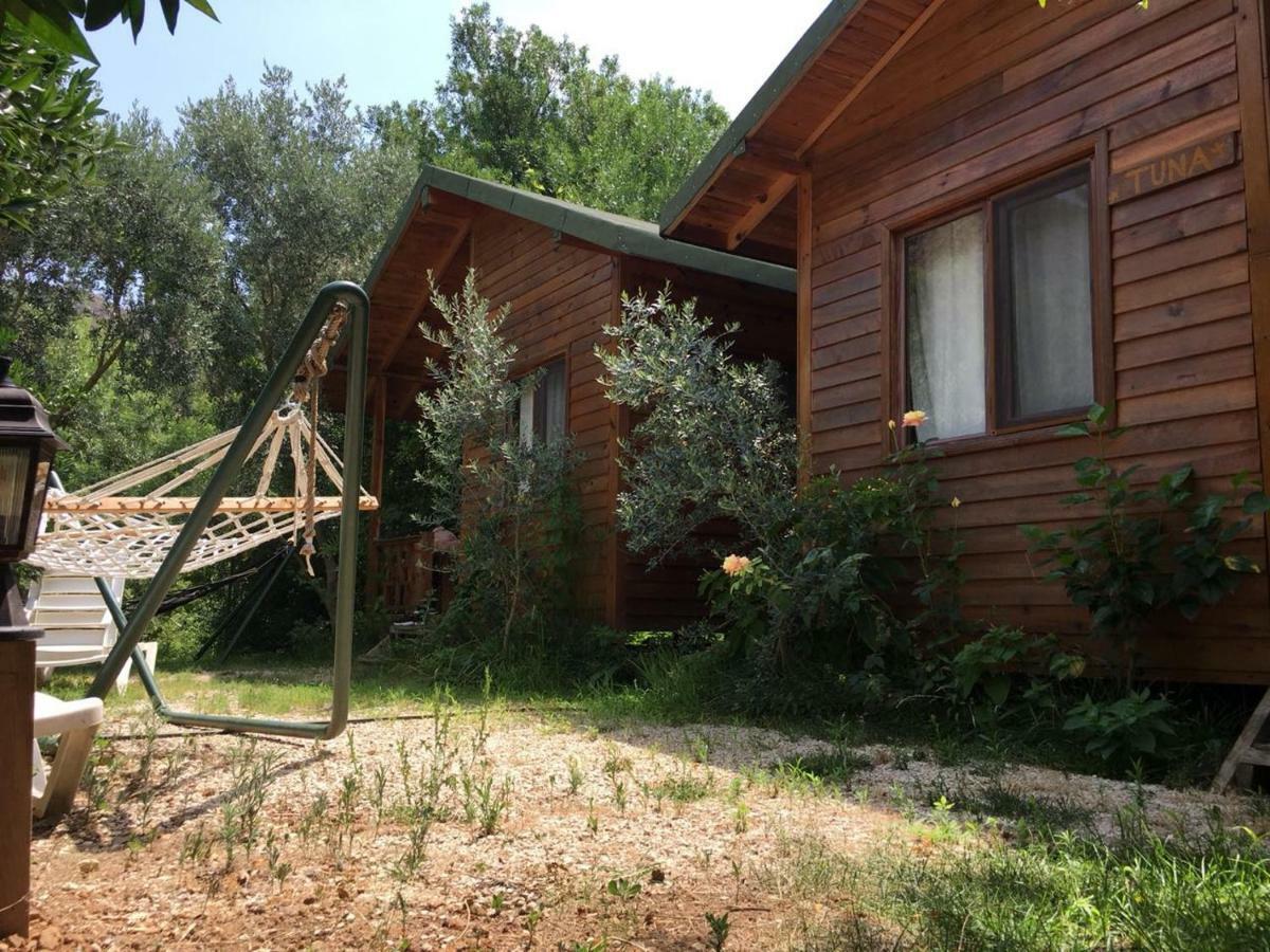 Halil Camping *