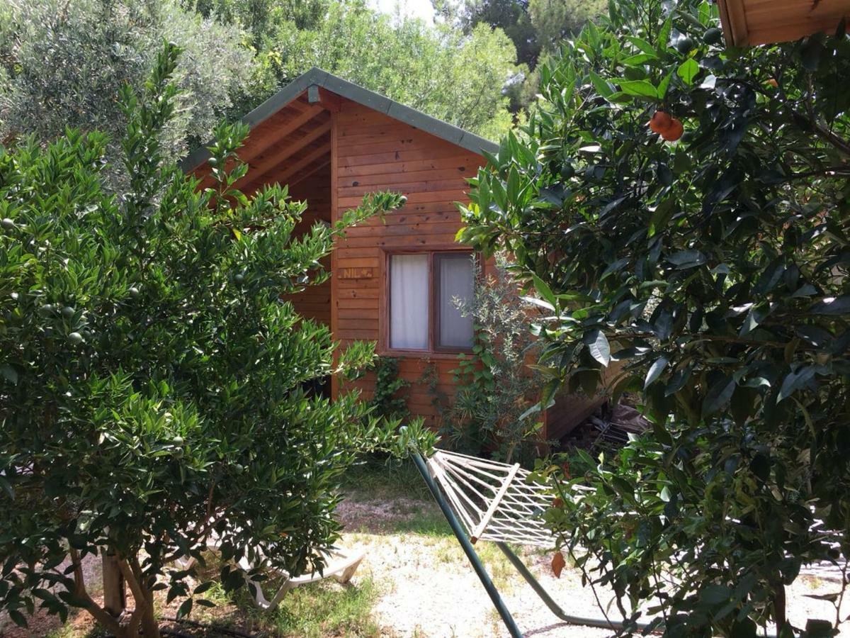 Camping Halil *